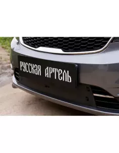 Зимняя заглушка решетки...